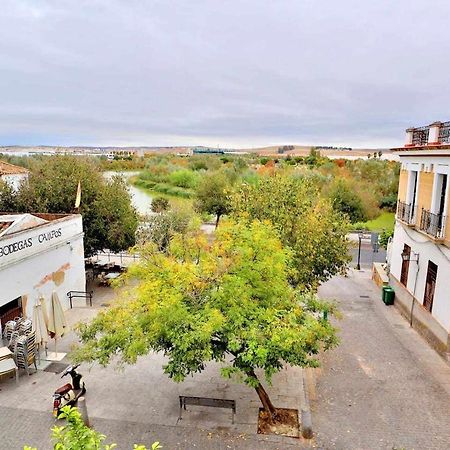 Apartamento Paseo De La Ribera Кордова Экстерьер фото